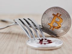 Everything You Need to Know About Bitcoin Fork