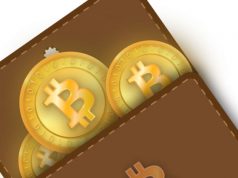 How to Choose the Best Bitcoin Wallet Best for You
