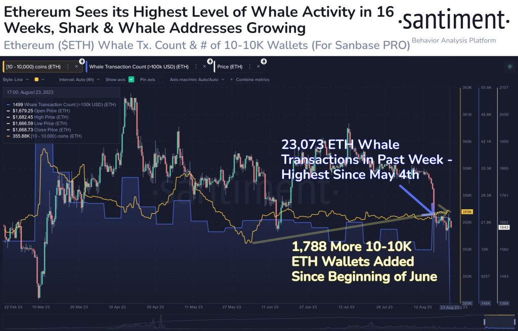 Ethereum Network Surges As Whales Hit New Milestone